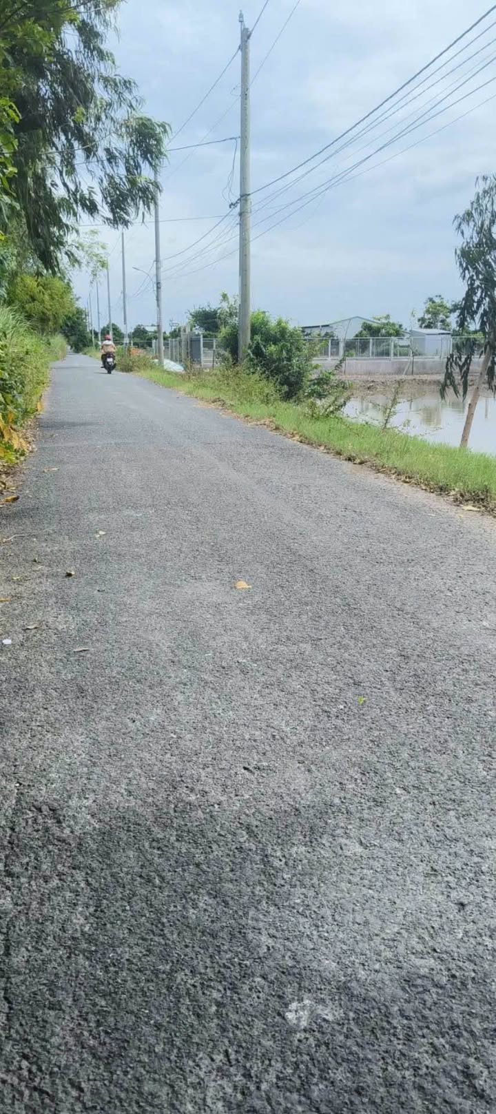 Đất lúa 590m² và 600m² tại mặt tiền đường Tây An, Bờ Hồ - Giá tốt, vị trí đẹp!