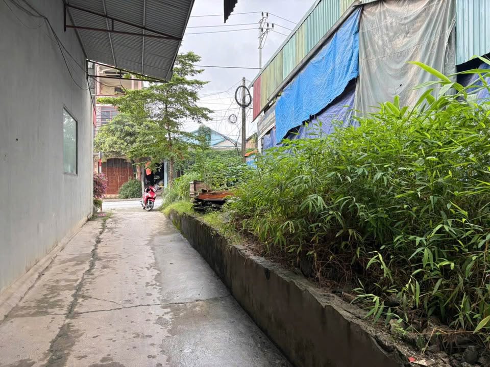 Đất nền Yên Bình, Lào Cai 260m² giá 1.2 tỷ - Sổ đỏ chính chủ, vị trí đẹp!