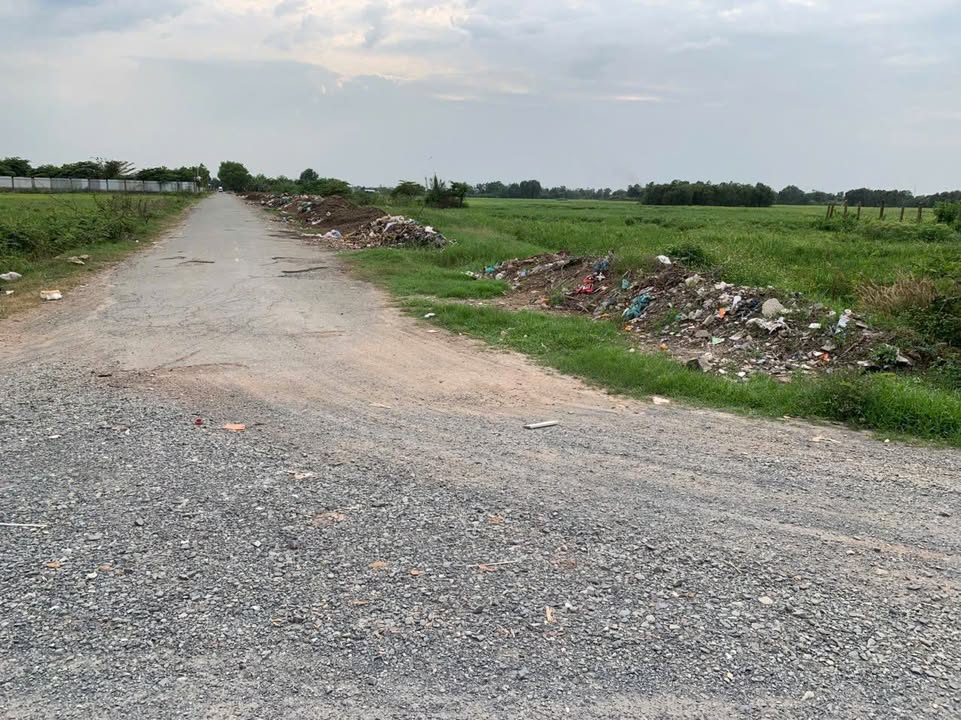 Đất nông nghiệp 5000m² mặt tiền đường Đá xã Xuân Thới Sơn - Giá chỉ 50 tỷ!