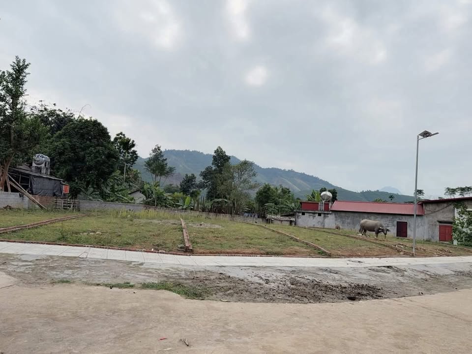 Đất thổ cư Võ Miếu, Thanh Sơn 100m² giá chỉ 200 triệu - Cơ hội đầu tư không thể bỏ lỡ!