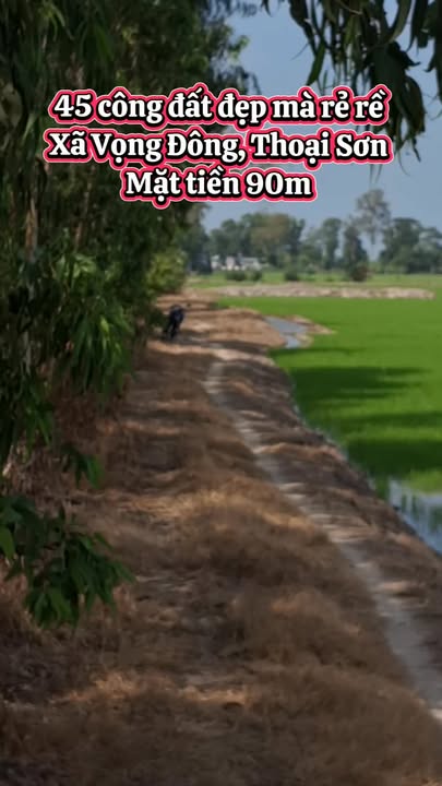 Đất ruộng Vọng Đông, Thoại Sơn 43,200m² giá 7.695 tỷ - Cơ hội đầu tư tuyệt vời!