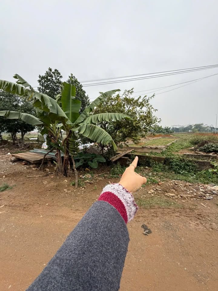 Đất nền Quốc Oai 135m² giá thỏa thuận - Khu vực đẹp, đường rộng