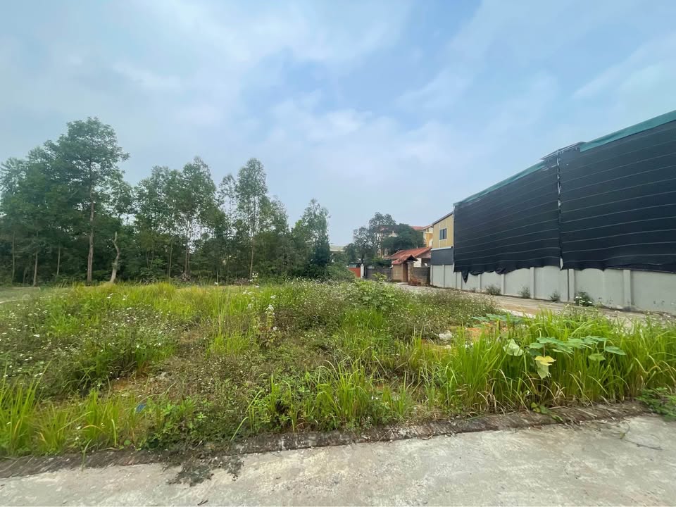 Đất nền tái định cư Nông Lâm 235,7m² giá chỉ 2x triệu - Kinh doanh đắc địa!