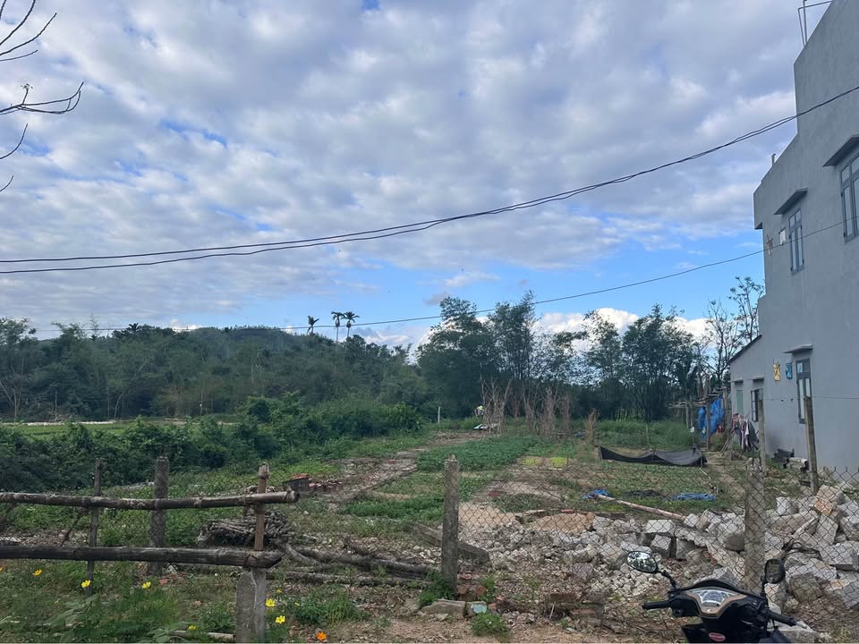 Nhà vườn Phổ Trạch, Tuy Phước 872m² giá 4 tỷ - Nhà mới 100%, thiết kế 2 mê!