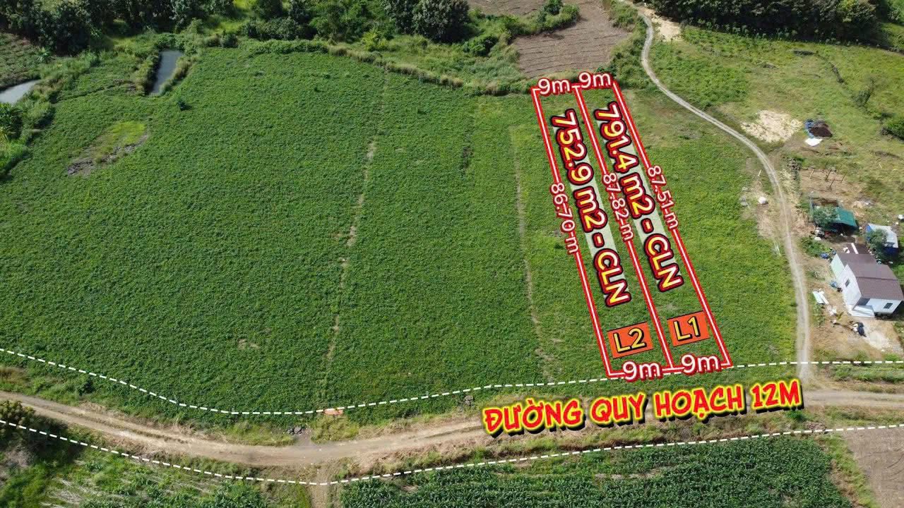 Đất nền 790m² Quảng Hiệp, Cư M'gar chỉ 139 triệu - Sổ đỏ chính chủ, đầu tư sinh lời!