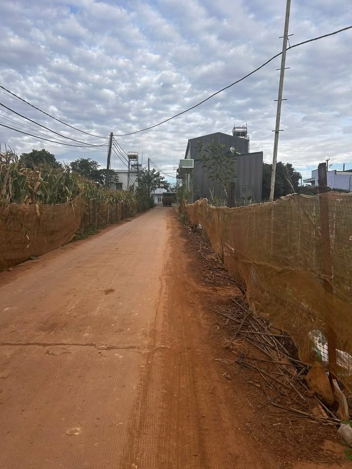 Đất nền Tân Hội, Đức Trọng 75m² giá 660 triệu - Cơ hội đầu tư tuyệt vời!