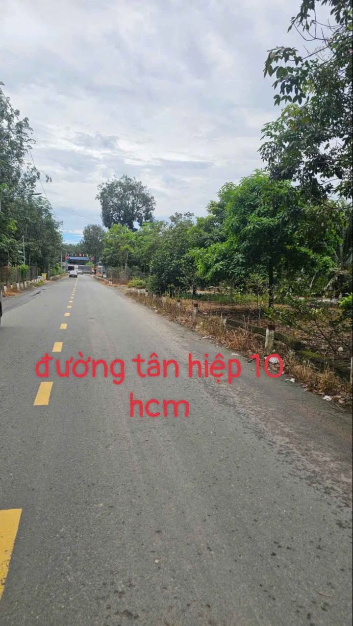 Lô đất 670m² đường Tân Hiệp, Hóc Môn - Đầu tư sinh lời ngay!