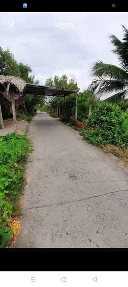 Đất nền Ấp Tân Hòa, xã Thạnh Phú, 294m² giá 400 triệu - Cơ hội đầu tư tuyệt vời!