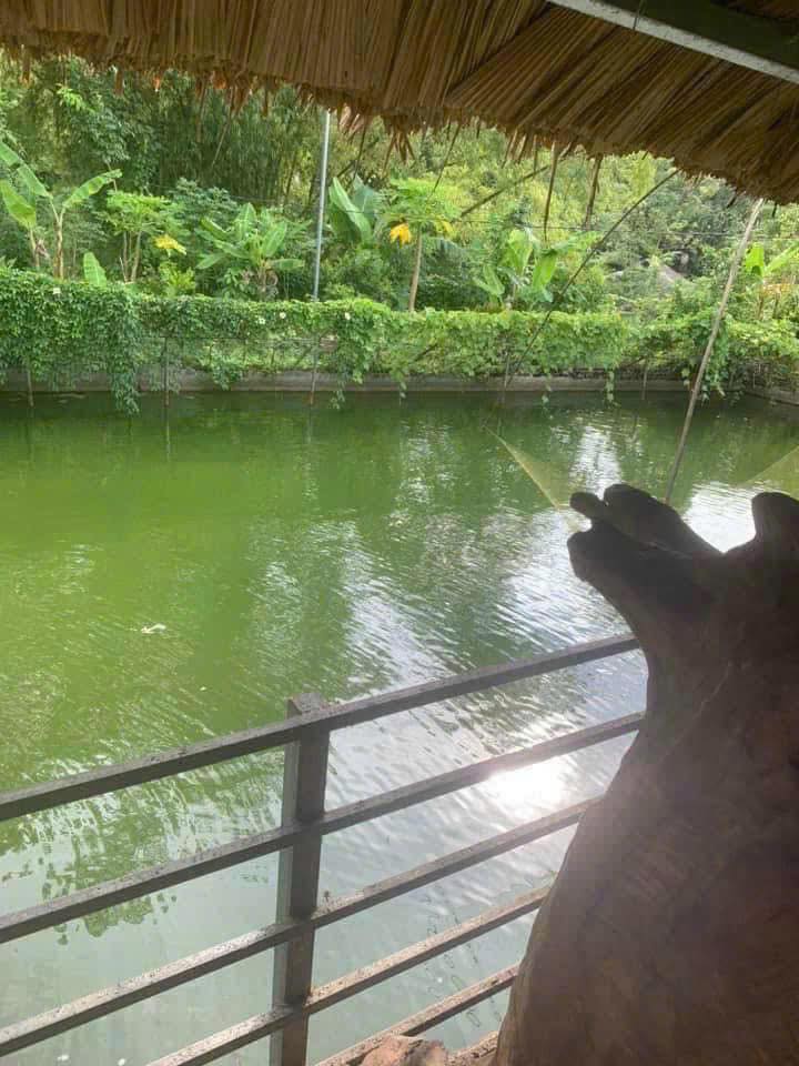 Nhà vườn Đạo Đức Vị Xuyên 2000m² giá chỉ 2 tỷ - Hạ tầng hoàn thiện!