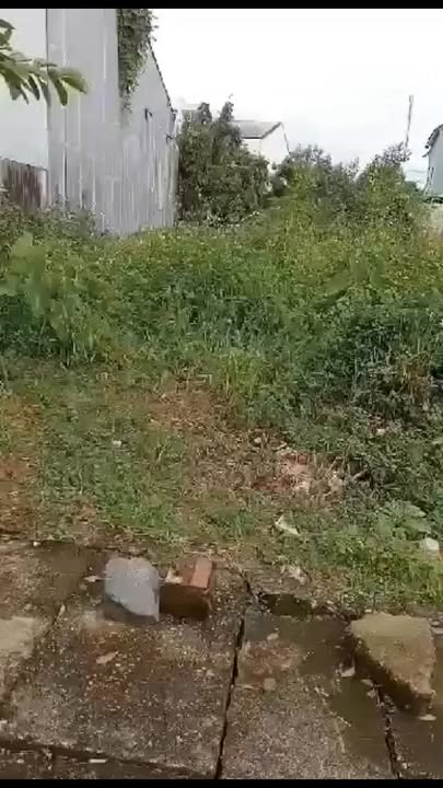 Đất thổ cư 125m² trên đường Nguyễn Du, thị trấn Ngọc Hồi, chỉ 1.1 tỷ - Cơ hội đầu tư lý tưởng!