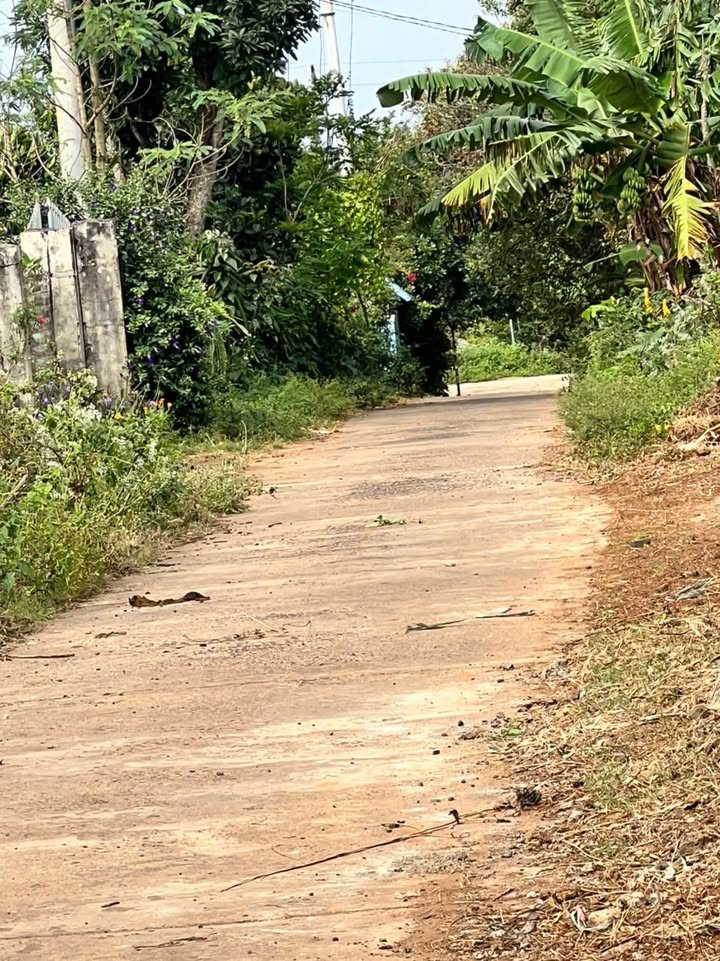 Đất thổ cư Ea Kao Buôn Ma Thuột 240m² giá 1.2 tỷ - Đầu tư sinh lời ngay!