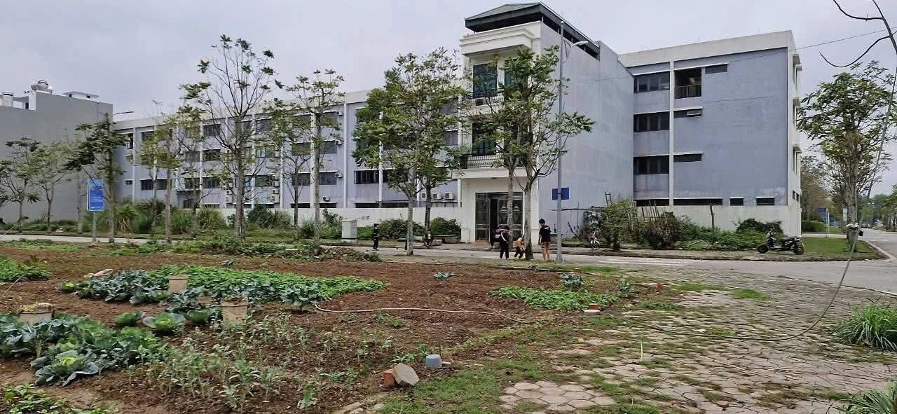 Nhà phố KĐT Ceo2 Liêm Tuyền 85.1m² giá 4.2 tỷ - Vị trí đắc địa gần bệnh viện