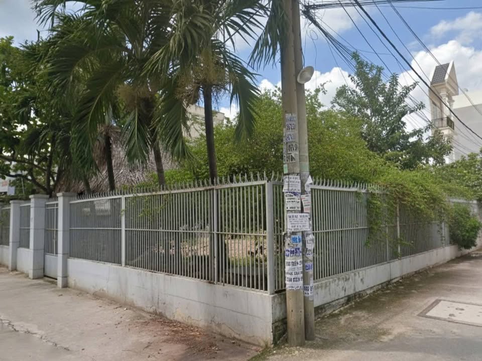 Đất nền mặt tiền Trần Thị Hè, Q12, 64m² giá 5 tỷ - Đầu tư sinh lời ngay!