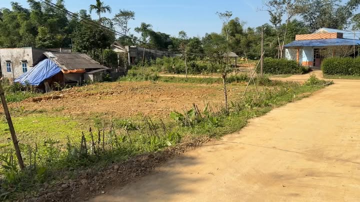 Đất nền Vân Am, Ngọc Lặc 100m² giá chỉ 90 triệu - Cơ hội đầu tư hấp dẫn!