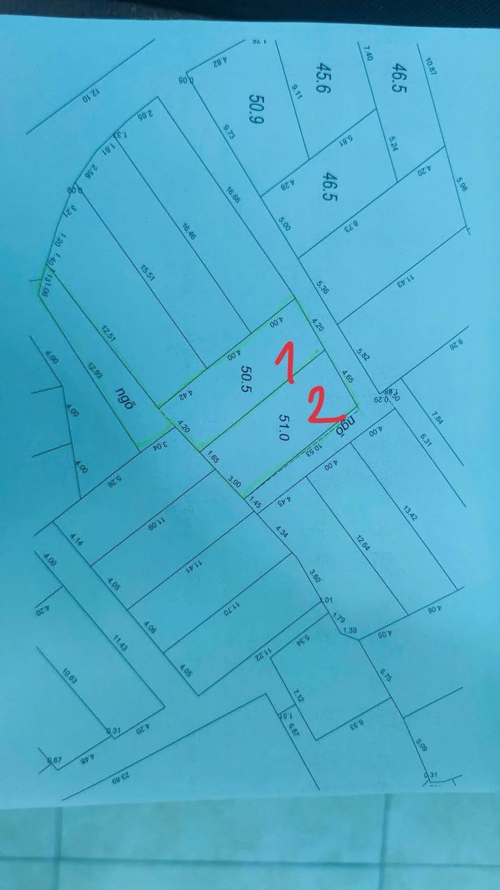 Đất nền Tô Hiến Thành, Mỹ Xá, 51m² giá 1.3 tỷ - Ô tô vào tận đất!