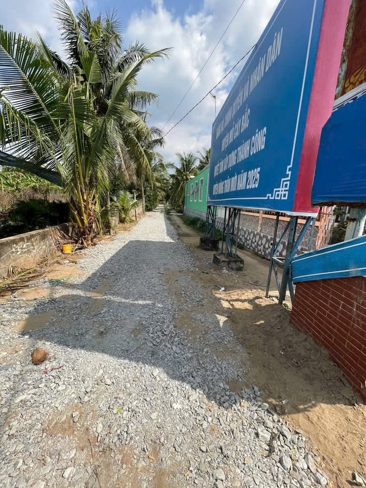 Farm 5 công dừa Tân Bình Mỏ Cày Bắc 5000m² giá 1.1 tỷ - Đầu tư sinh lời ngay!