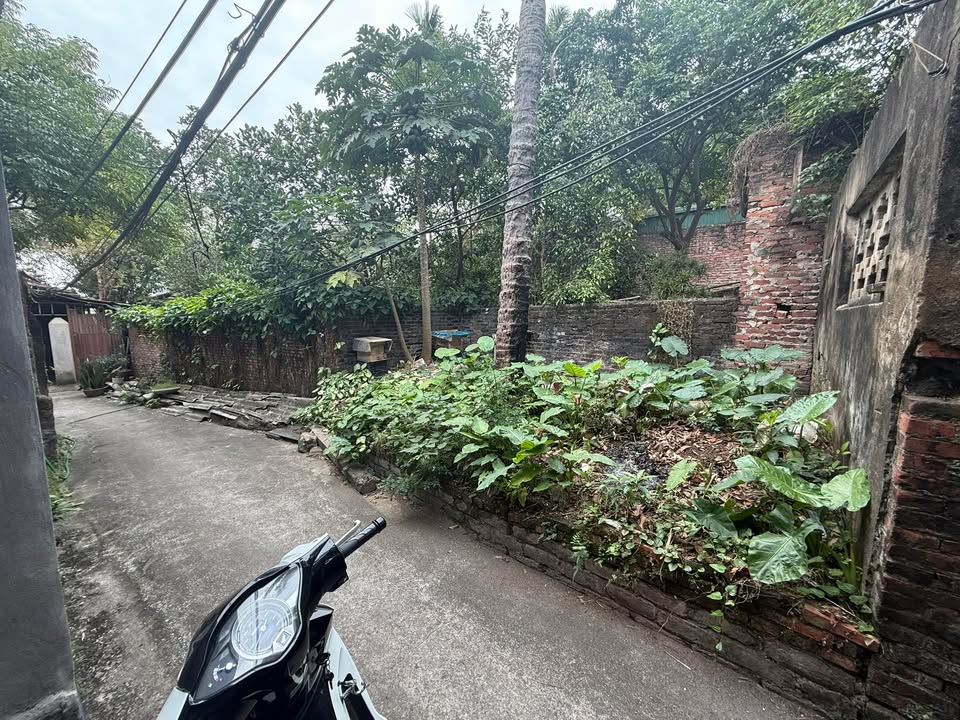 Đất thổ cư Vũ Ninh, Bắc Ninh 75m² giá 2.1 tỷ - Cơ hội đầu tư tuyệt vời!