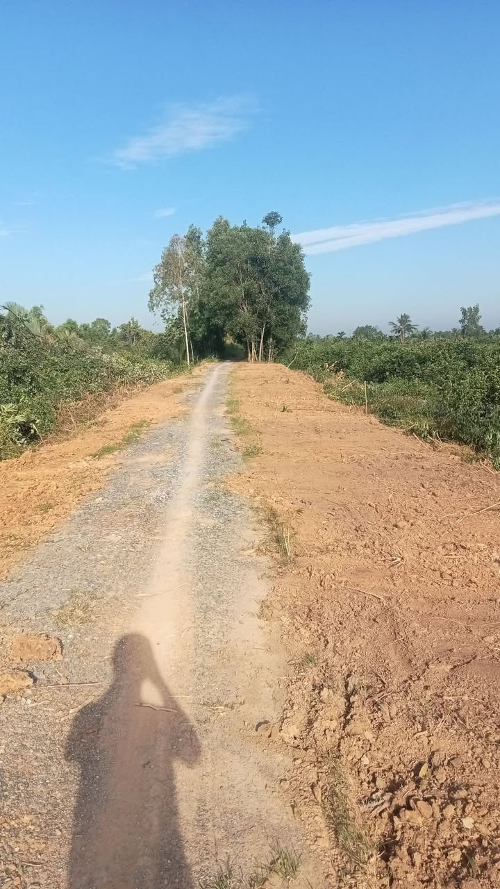 Đất vườn Thạnh Hoà, Bến Lức 500m² giá 195 triệu - Đầu tư sinh lời lý tưởng!