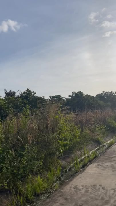 Đất nền Đắk Wil Cư Jút 2280m² giá 1 tỷ - Mặt tiền đường bê tông rộng rãi!