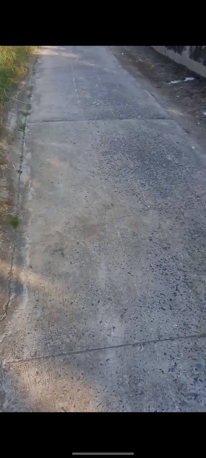 Nhà và đất mặt tiền đường bê tông 480m² tại Long Thuận, Gò Công - Giá hợp lý cho nhà đầu tư!