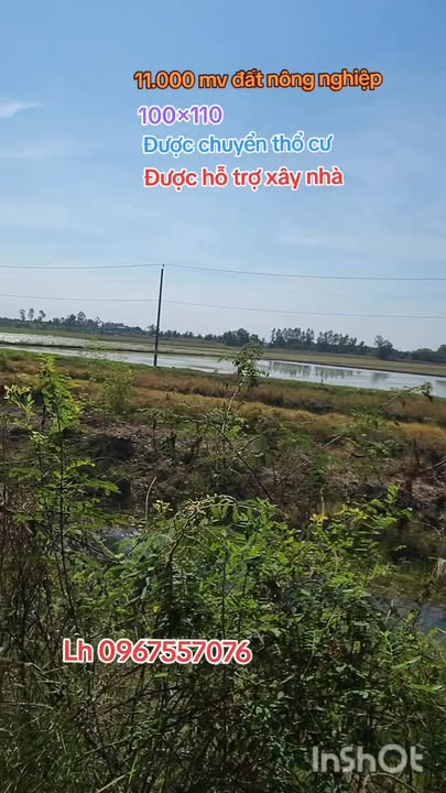 Đất nông nghiệp 11.000m² xã Tân Hiệp, Thạnh Hóa - Giá chỉ 2.2 tỷ thương lượng!