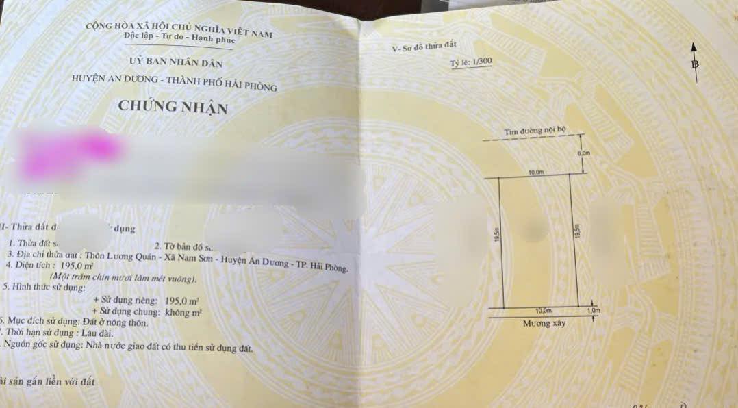 Đất nền Lương Quán An Dương 195m² giá 5 tỷ - Gần chợ, trường học, vị trí đẹp!