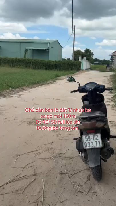 Đất nền Ba Sa Gò Mối, Đức Hòa 2000m² giá 18 tỷ - Phù hợp làm nhà vườn