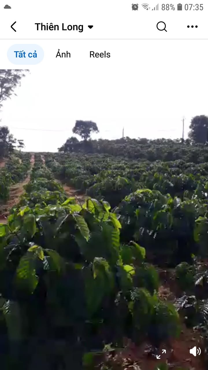 Đất nền Di Linh 16200m² - Mặt tiền 23m, giá thỏa thuận hấp dẫn!