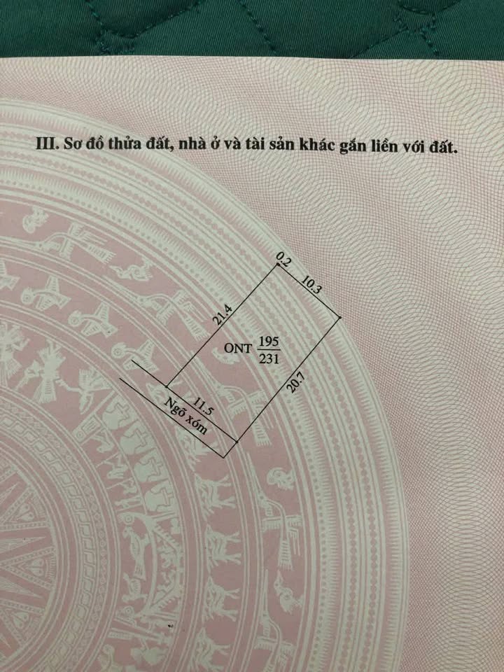 Đất nền Hồng Châu, Cẩm Giàng 231m² giá 800 triệu - Đầu tư sinh lời ngay!