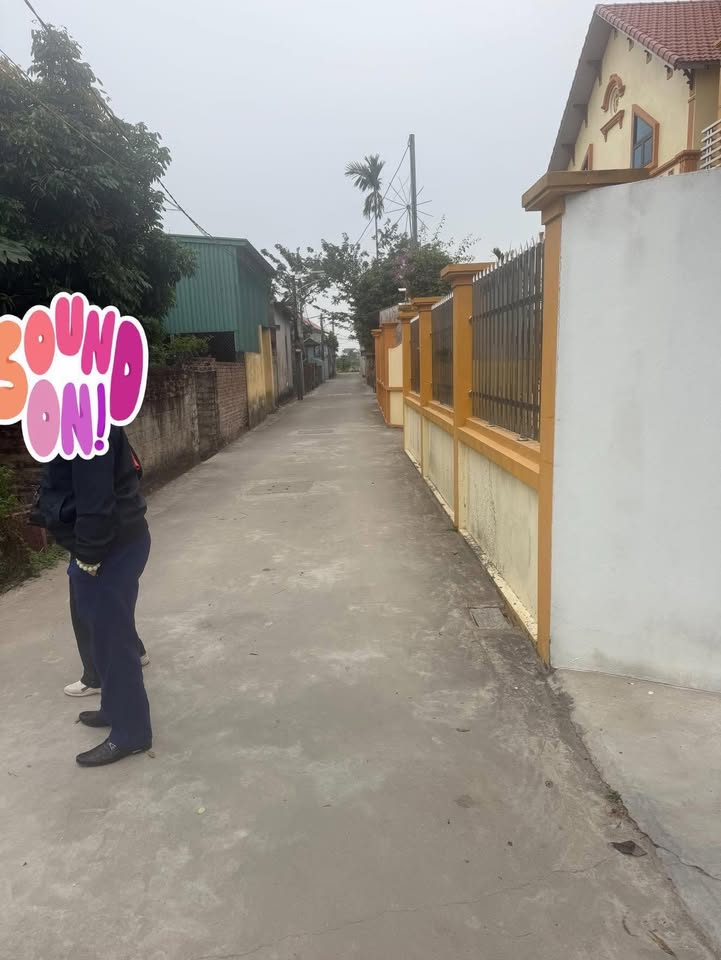 Đất thổ cư Vĩnh Hồng Bình Giang 104m² giá 1.1 tỷ - Đầu tư sinh lời ngay!