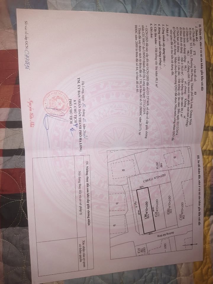 Đất nền Hà Tu Hạ Long 98.1m² giá 1 tỷ - Vị trí đắc địa, sổ đỏ chính chủ!