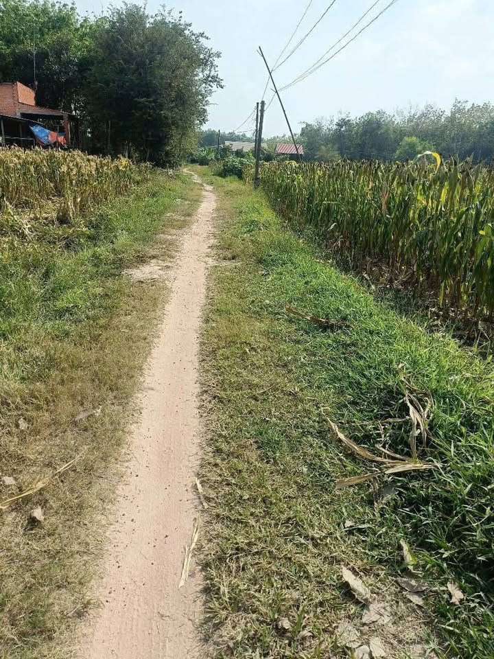 Đất thổ cư ấp Lộc Trung, Trảng Bàng, Tây Ninh 1225m² - Giá chỉ 1 tỷ!