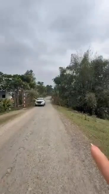 Đất nền Phong Phú, Tân Lạc, Hòa Bình 1900m² giá 1.1 tỷ - Cơ hội đầu tư hấp dẫn!