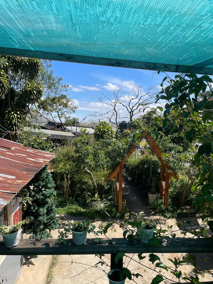 Nhà gỗ sân vườn Đà Lạt 1 phòng ngủ giá 5 triệu - Không gian yên bình gần gũi thiên nhiên!