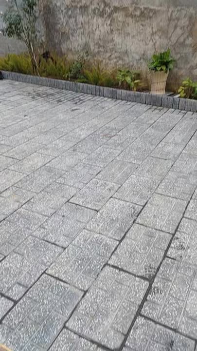 Căn hộ cho thuê tại 53 Tây Hồ, Đà Lạt - Kết hợp homestay và café tuyệt đẹp!