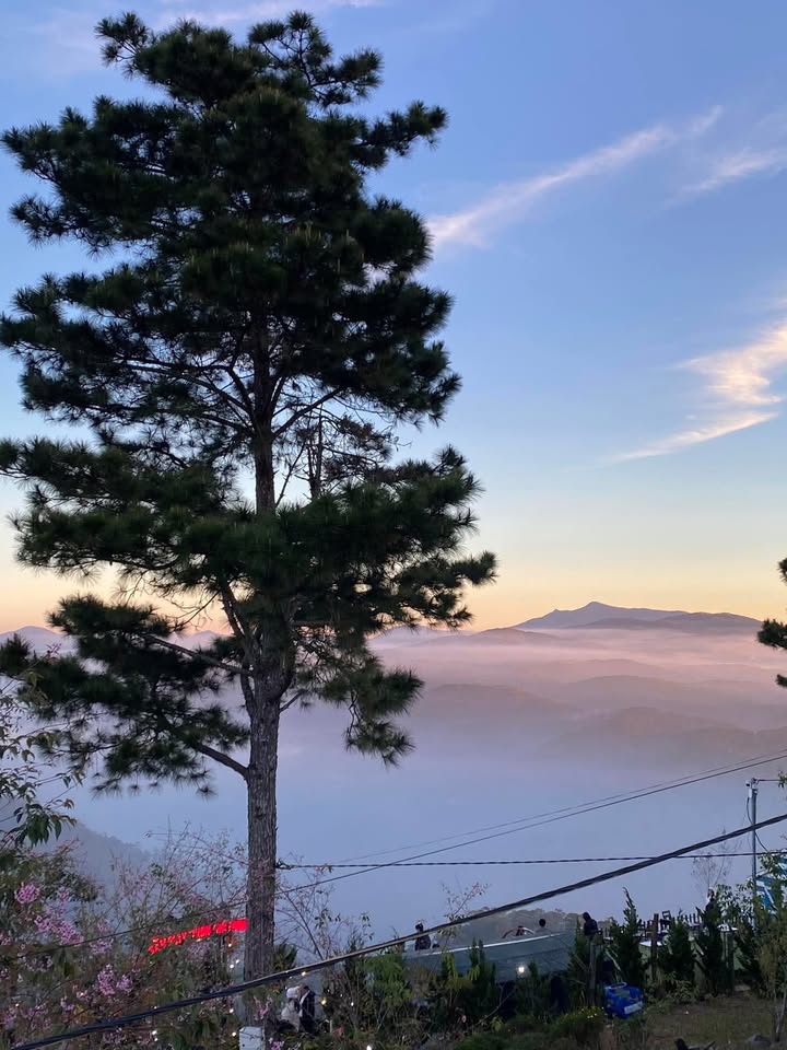 Nhà phố cho thuê tại Cộng Hòa, Tân Bình 82m² giá 29 triệu - Gần sân bay tiện lợi!