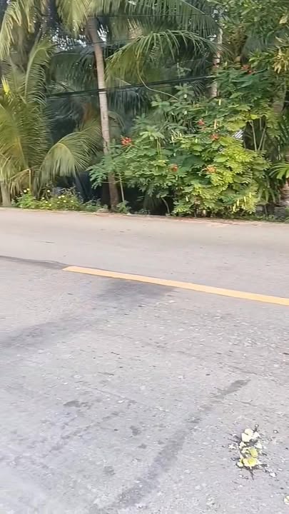 Đất thổ cư 330m² mặt tiền Tỉnh lộ 913, Trà Vinh chỉ 750 triệu - Đầu tư sinh lời cao!