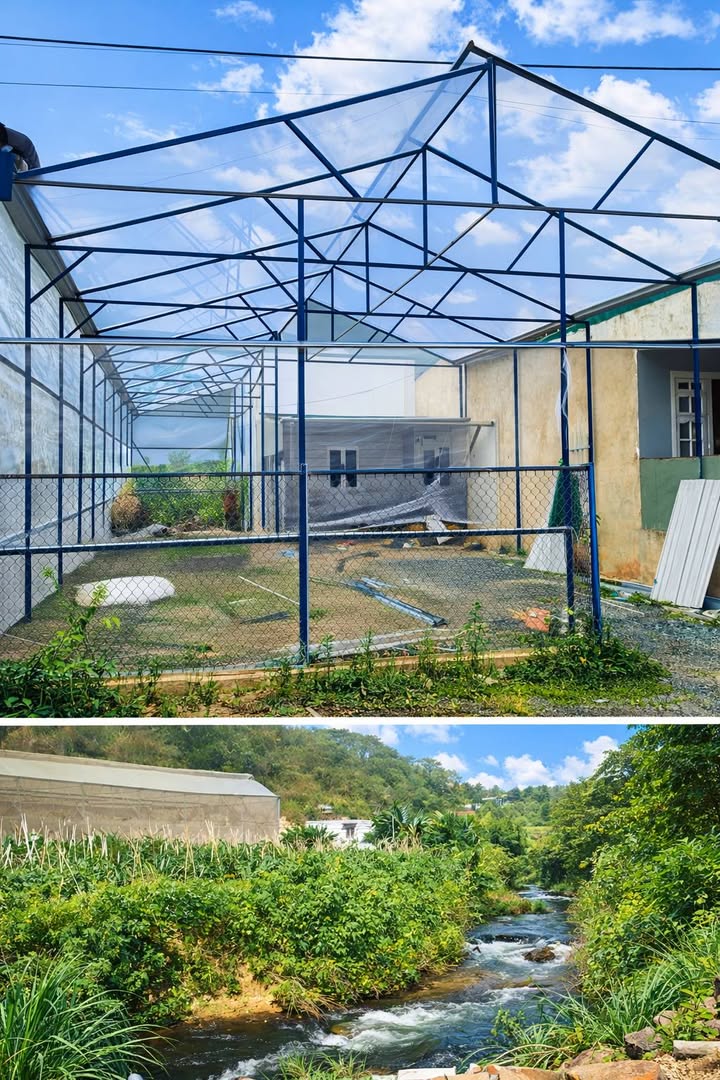 Cho thuê phòng trọ 200m² tại Đà Lạt - Giá chỉ 2.2 triệu/tháng, không gian yên tĩnh!