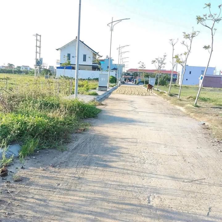 Đất nền Dương Phúc, Thái Thụy 116m² giá thỏa thuận - Gần khu công nghiệp Liên Hà Thái!