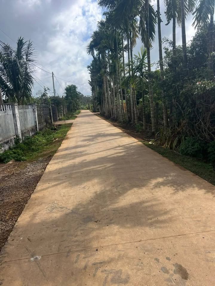 Đất nền chính chủ tại Cư M'gar, Đắk Lắk 1300m² - Giá chỉ 720 triệu