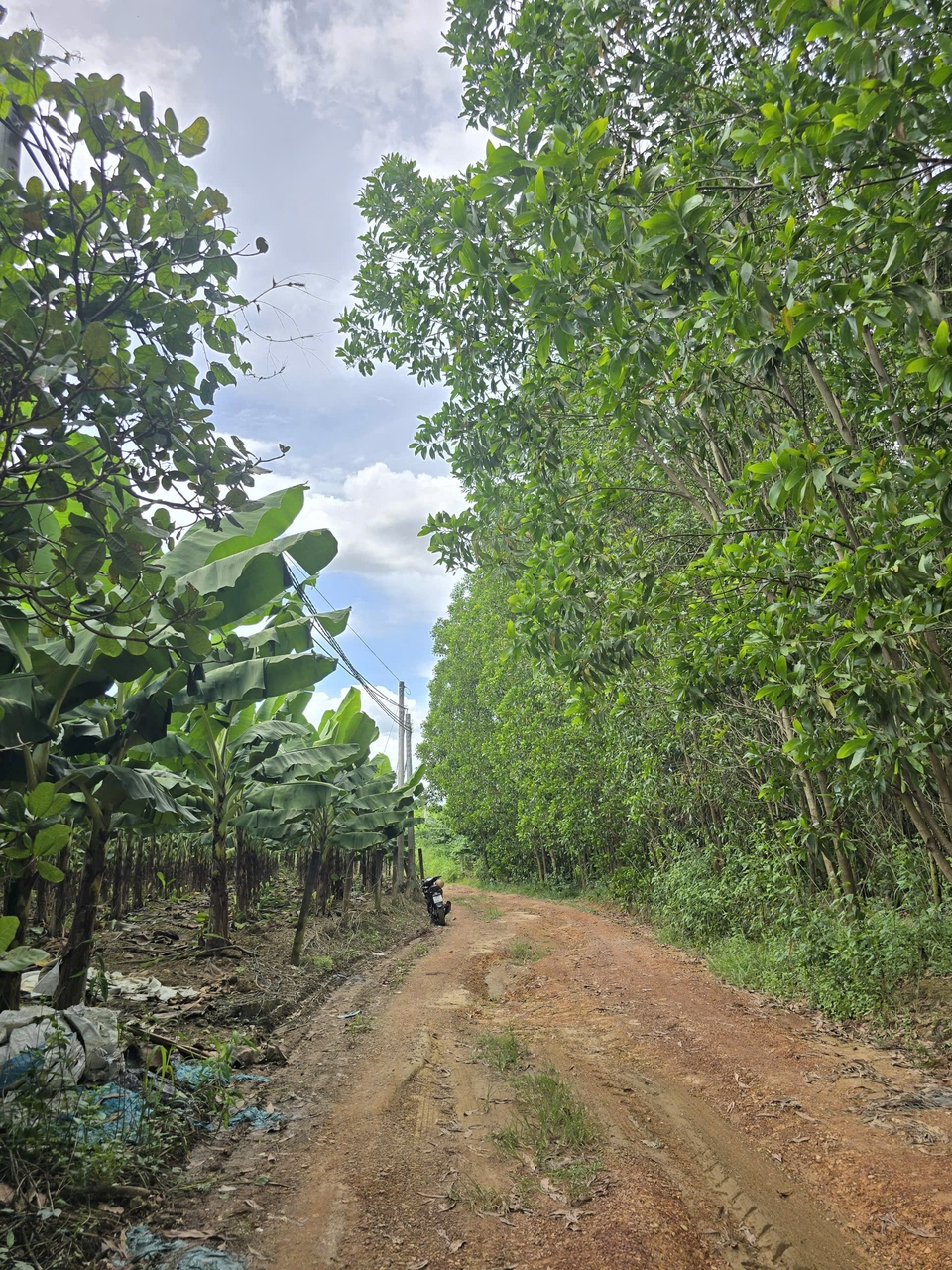 Đất Phú Ngọc, Định Quán, Đồng Nai 1004m² giá 0.8 tỷ - Đầu tư sinh lời hấp dẫn!