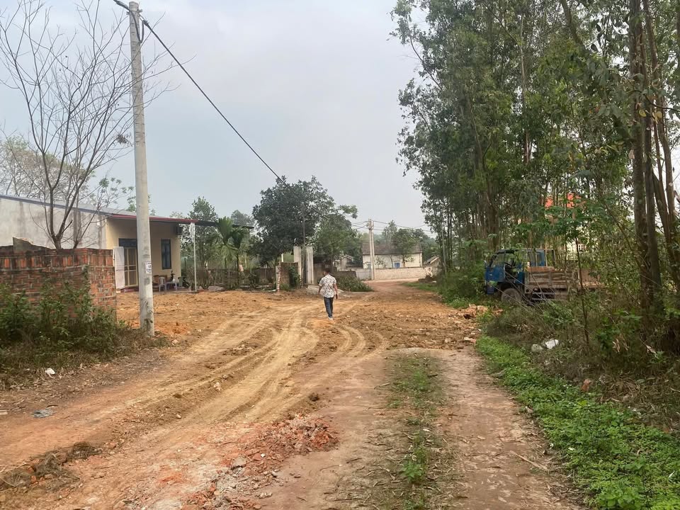 Đất Hướng Đạo Tam Dương 633m² giá 3.798 tỷ - Cơ hội đầu tư hấp dẫn!