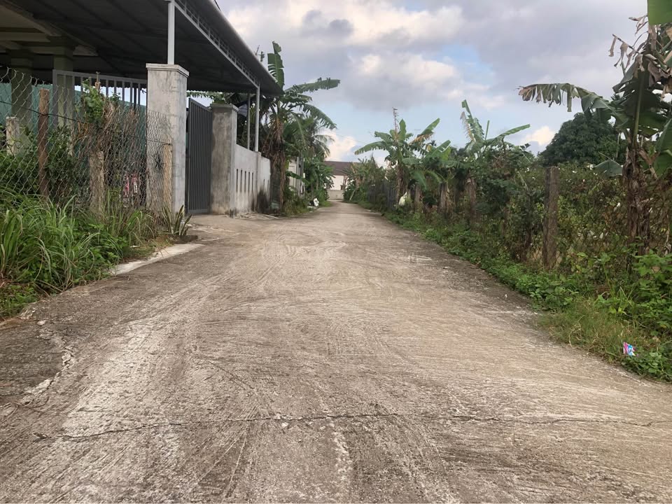 Đất thổ cư 246m² Thanh An Cam Lộ giá 500 triệu - Đường bê tông ô tô vào tận nơi!