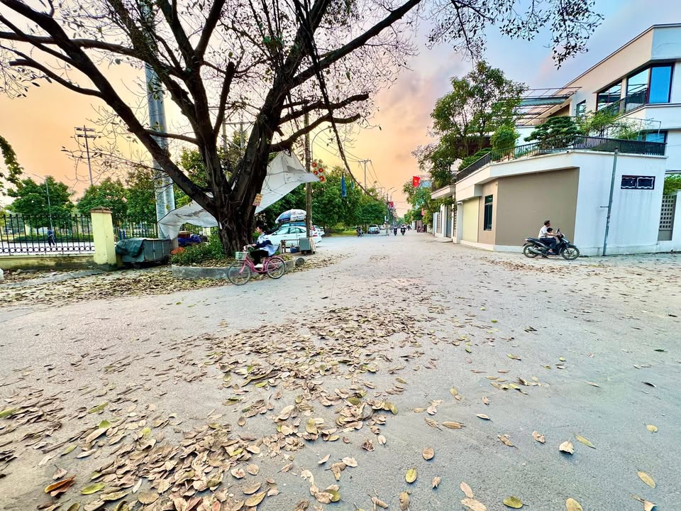 Đất xóm Thượng, Uy Nỗ, Đông Anh 188m² - Khu vực kinh doanh sầm uất!