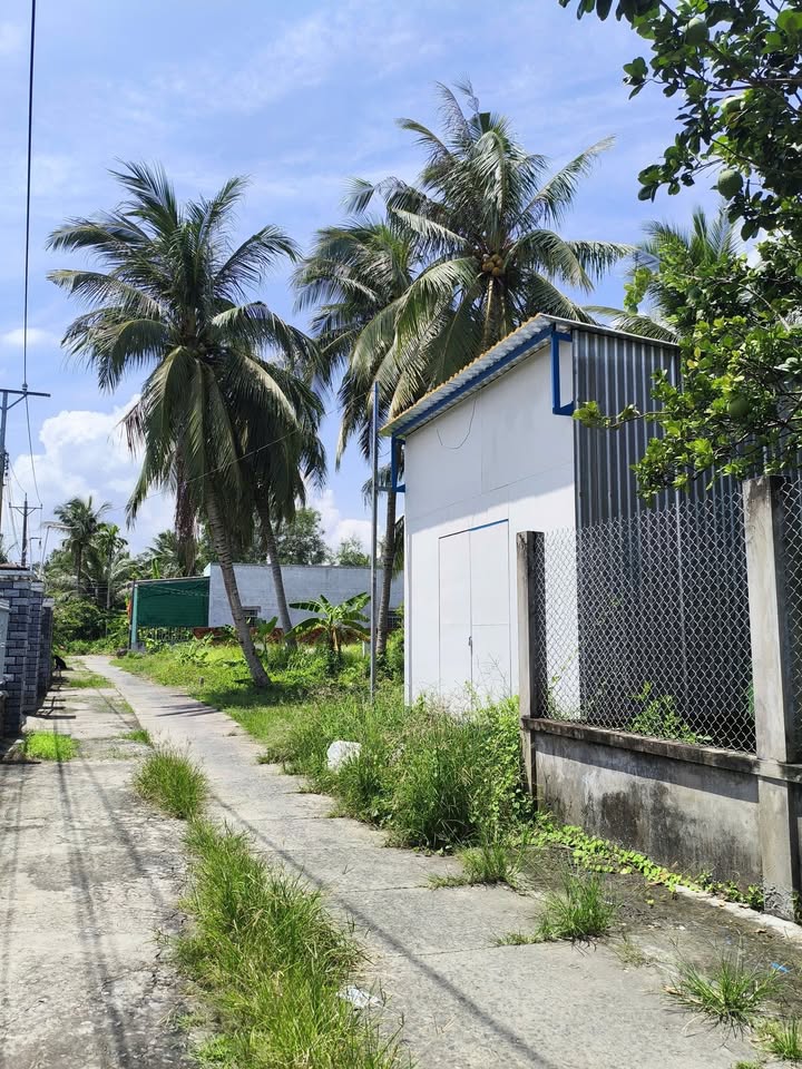 Nhà phường An Hội Bến Tre 151m² giá 1.15 tỷ - Cơ hội sở hữu ngay!