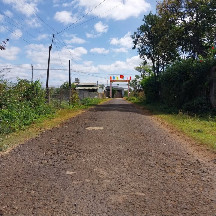 Đất nền Biển Hồ 165m² giá 600 triệu - Đường nhựa rộng, dân cư đông đúc!