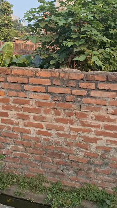 Đất nền Dương Quang, Gia Lâm, Hà Nội 64m² giá chỉ 2.xx tỷ - Chủ cần bán gấp!