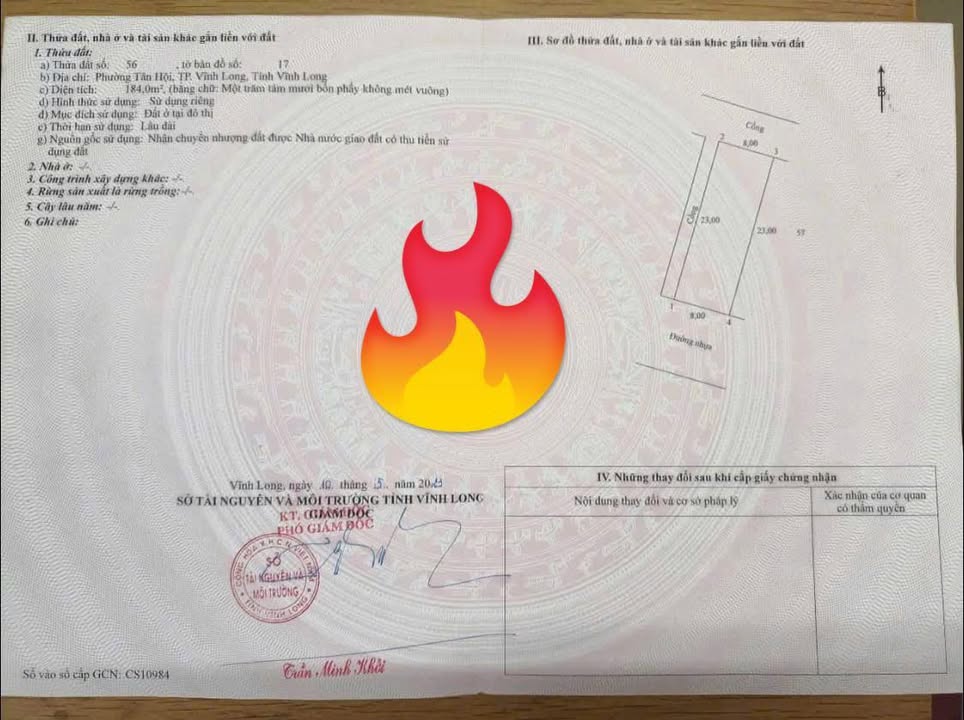 Đất nền biệt thự phường Tân Hội 184m² giá 800 triệu - Cơ hội đầu tư hấp dẫn!