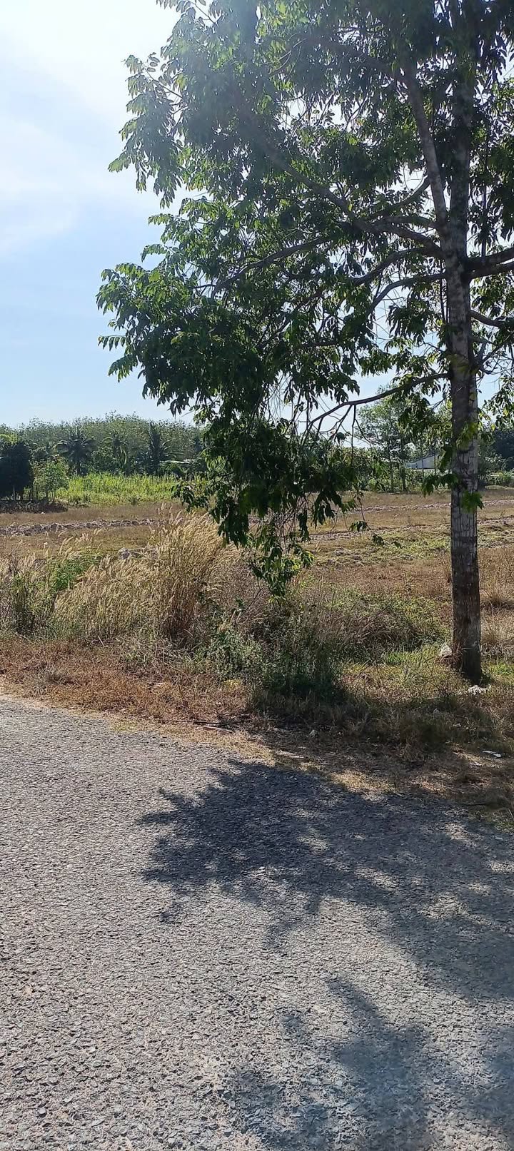 Đất thổ cư 700m² Thạnh An - Tân Biên giá 875 triệu - Mặt tiền nhựa gần trường học!