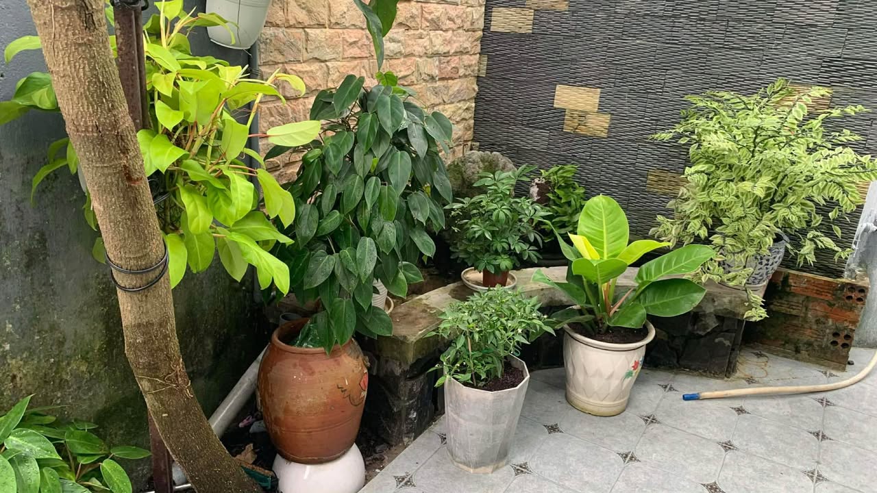 Nhà cấp 4 đường Nguyễn Tất Thành, Tuy Hòa 73m² giá 1.3 tỷ - Tiện ích đầy đủ, an ninh tốt!